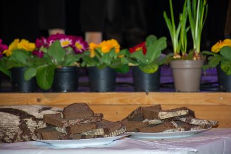 ‘‘Korenine preteklosti, sadovi prihodnosti” (32)